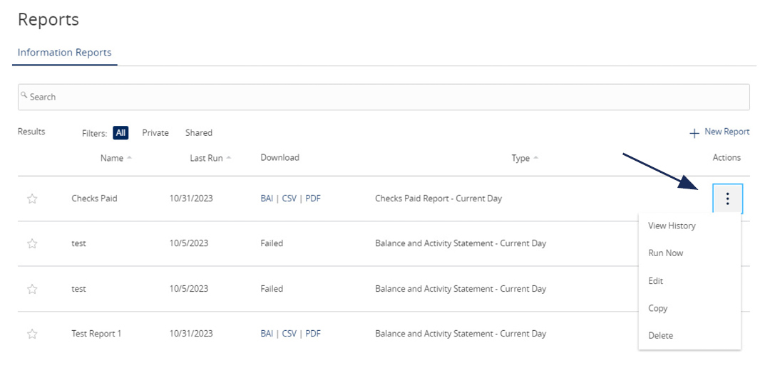 Reports content showing options to View History, Run On-Demand, Edit, Copy, or Delete the specific report.
