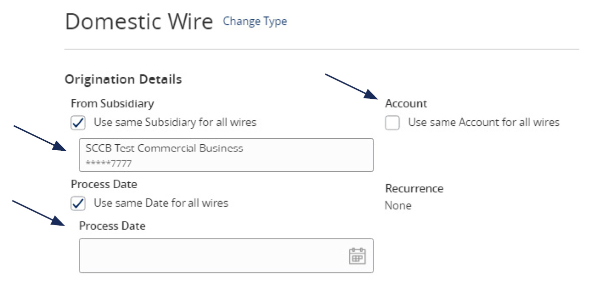Image of the Domestic Wire form showing where to indicate the subsidiary to use, the account to use, and the process date to use.
